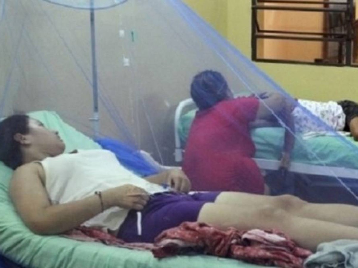 Cuáles son los números rojos del paludismo en Venezuela y por qué son importantes